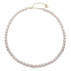 Damesketting Ailoria Shiori