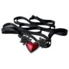 Vrouwenhanger Ketting + Lint Alchemy Blood Heart -Accessoires Verkoop alchemy cmt124 gris noir rouge 1