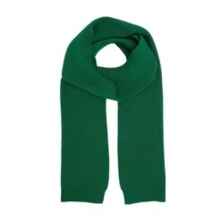 Wollen Sjaal Colorful Standard Merino Kelly Green