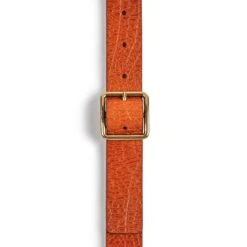 Damesriem Met Vierkante Gesp Wrangler -Accessoires Verkoop wrangler 112344046 4